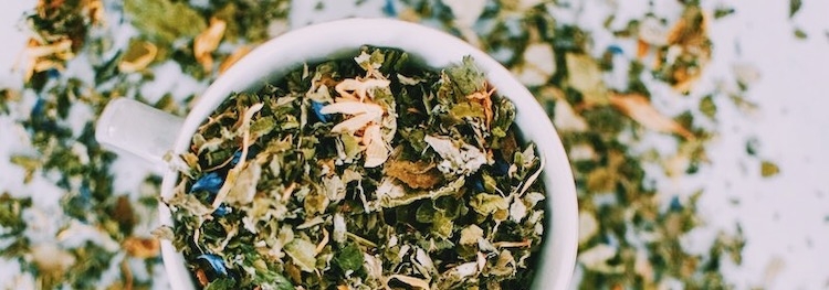 Top 5 Adaptogens for Fall and Winter