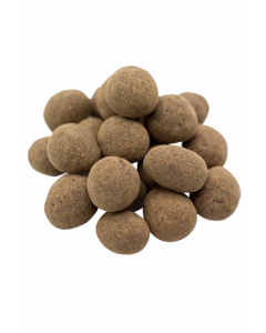 Sprouted Raw Chocolate Covered Hazelnuts - 5 lbs
