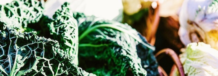 Benefits of Magnesium and Where to Find it