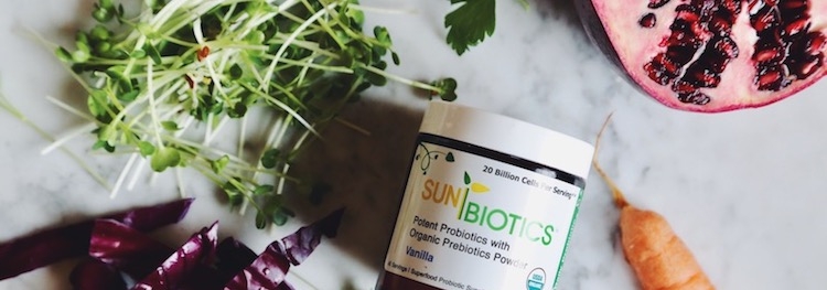 Prebiotics vs. Probiotics : What is the Difference and Do We Really Need Both? 